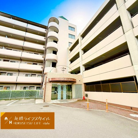 外観：328000597866