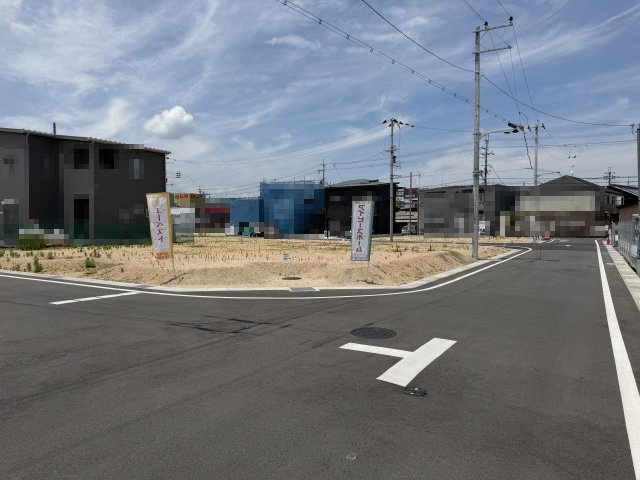 2026年6月19日撮影