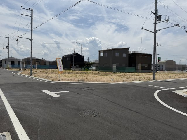2026年6月19日撮影
