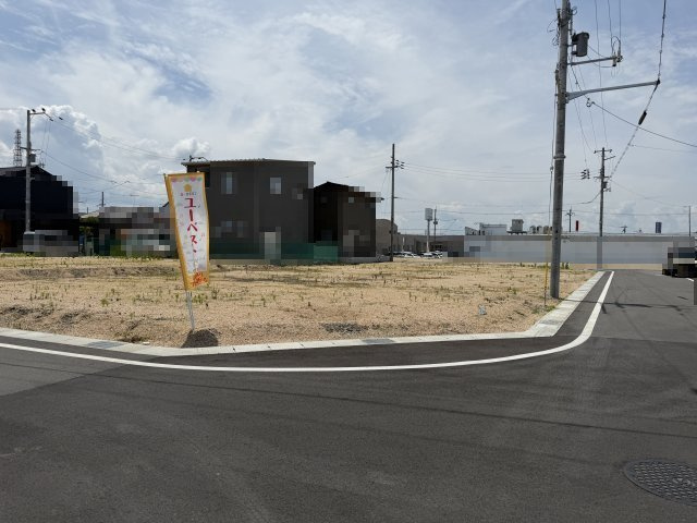 2026年6月19日撮影