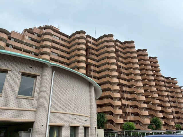 外観：339000055125