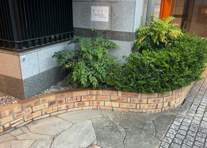 中庭（パティオ）とは、一つの建築物の内部に設けられた、壁などで囲われている庭のことを指します。コの字型、ロの字型が主流ですが、L字型の中庭もあります。最近では、インテリア性の高さからも人気があります。