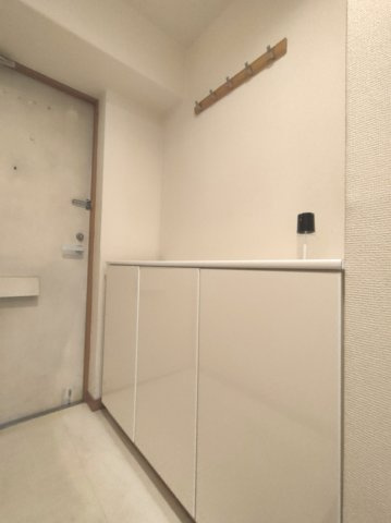【玄関収納】　壁面にはシューズボックスが設置されています。シューズボックス上にはお花を飾ったり、外出時に忘れてはいけない物を置いておいたり、便利に利用できます。