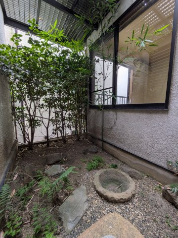 庭
