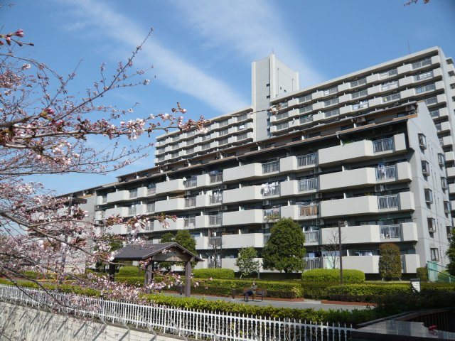 外観：313004619469