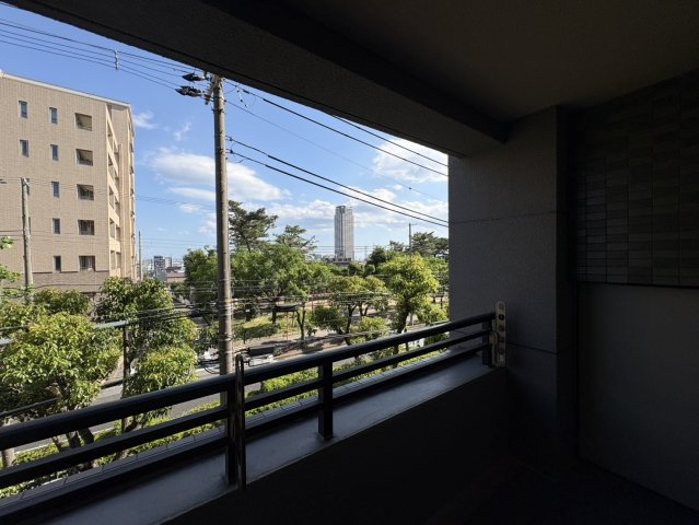 展望