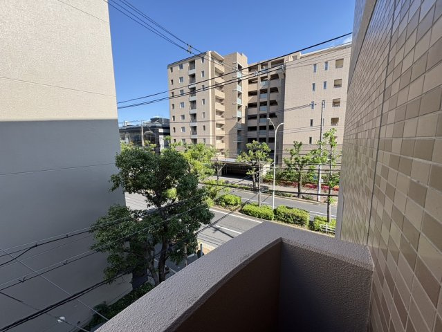 展望