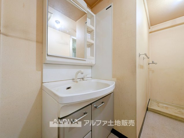 独立洗面化粧台が付いています
