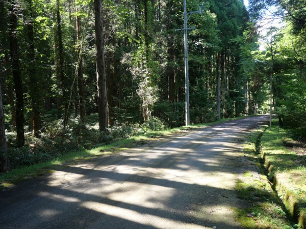 【荘川ビレッジ⑪の前面道路含む現地写真】
