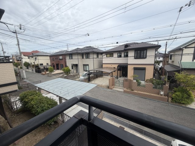 展望