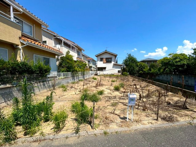 外観：311002343427