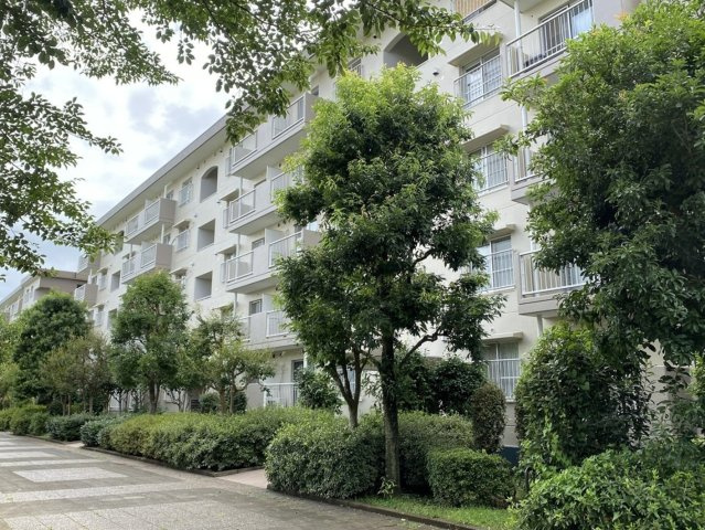 外観：312001075812