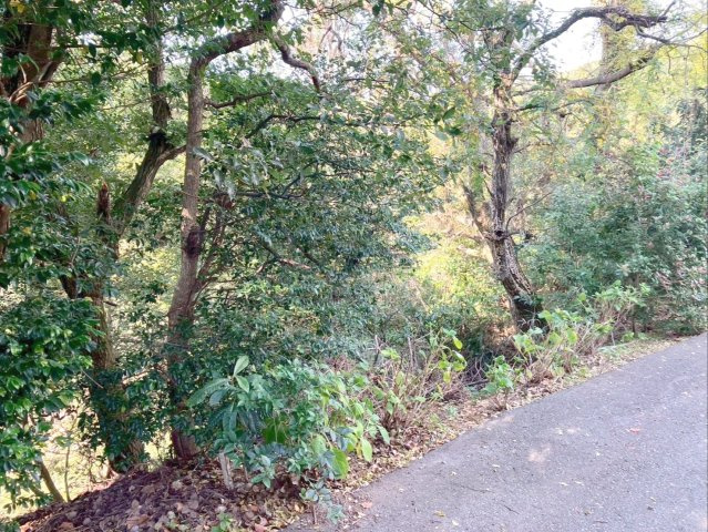 外観：340000259096