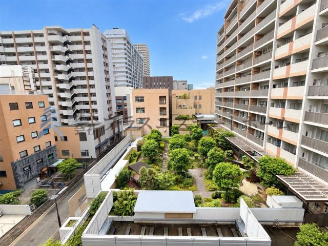 展望