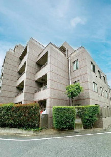 外観：313004652387