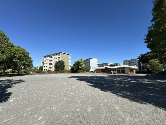 敷地内に広場もあり、お子さまの遊び場としても安心です。