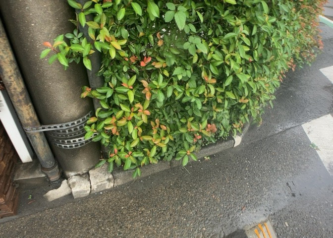物件周辺には豊かな緑や平坦な敷地が広がっており、周辺環境の良さを実感できます。自然を感じられる落ち着いたロケーションで、毎日のお散歩やリフレッシュにもぴったりの穏やかな住環境が整っています。