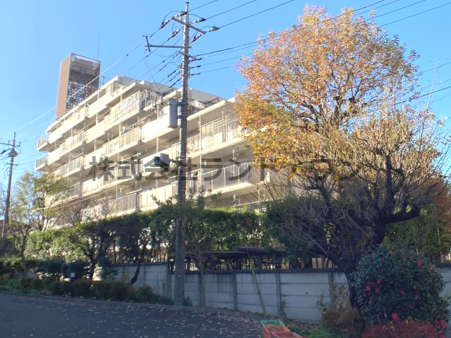 外観：313004573569