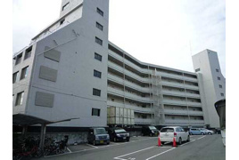 ダイヤコーポ東雲の外観