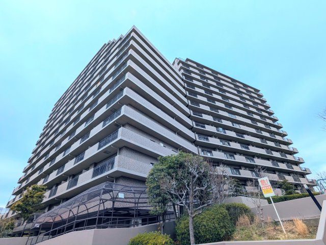 外観：313004669713