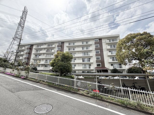 外観：313004693819