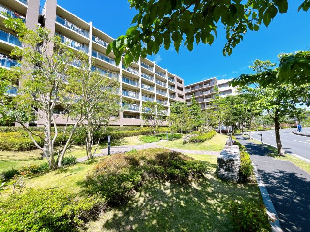 外観：314002598244