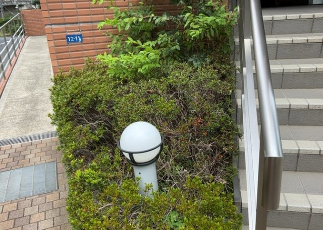 物件によっては、入居者が個人的に使用できる専用庭がついているものもあります。また、住宅の中にある土間の部分を庭と呼ぶこともあります。庭の用途は住む人によって変わり、それによってデザインもさまざまです。
