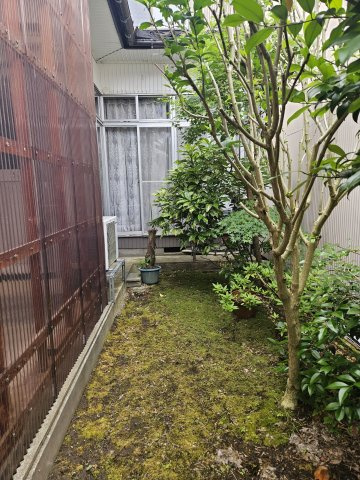 庭