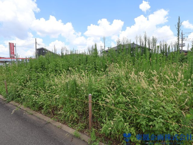 撮影日：令和8年8月