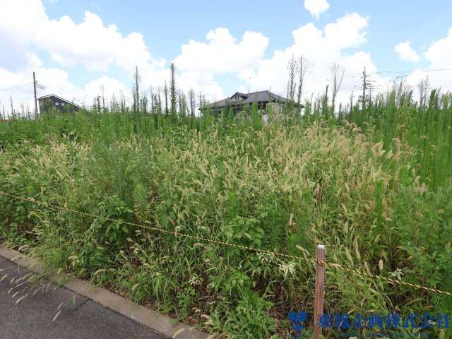 撮影日：令和8年8月