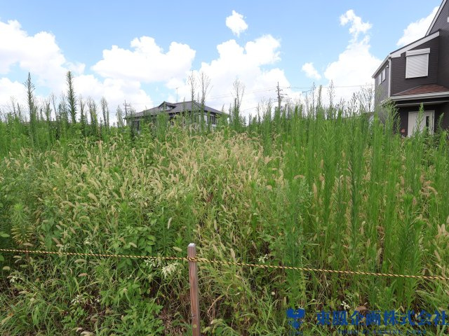 撮影日：令和8年8月