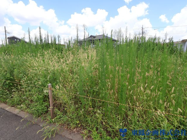 撮影日：令和8年8月
