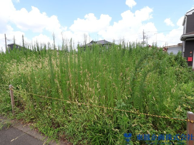 撮影日：令和8年8月