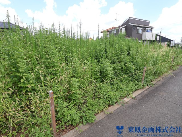 陽当たり良好。