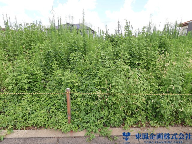 風通し良好。