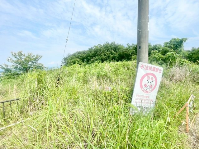外観：325000126821