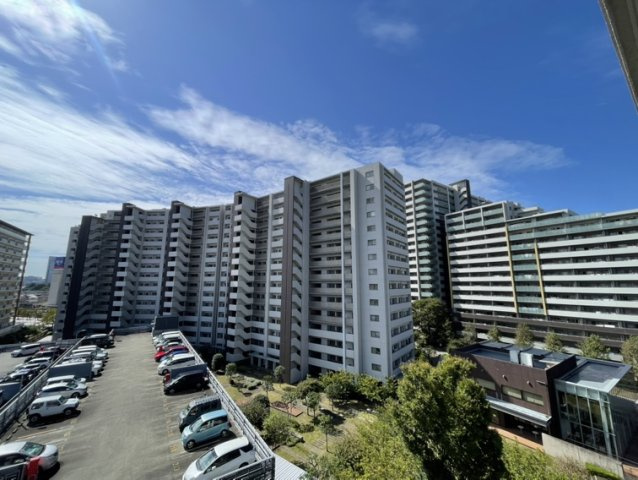 展望