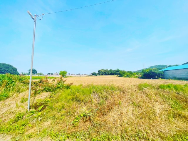 外観：311002368667