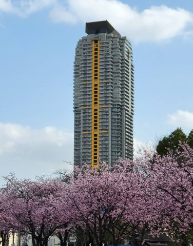 外観：311002436809