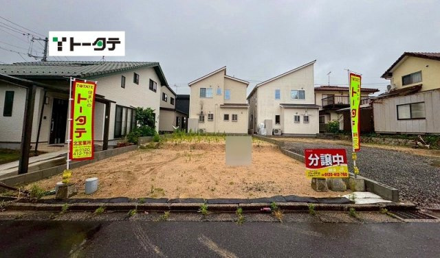 外観：334000256982