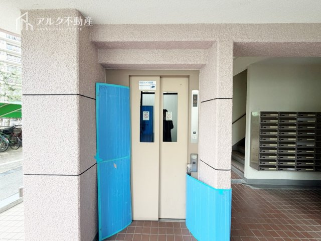 2026年2月撮影