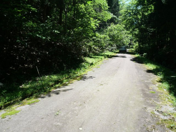 【荘川ビレッジ⑨の前面道路含む現地写真】