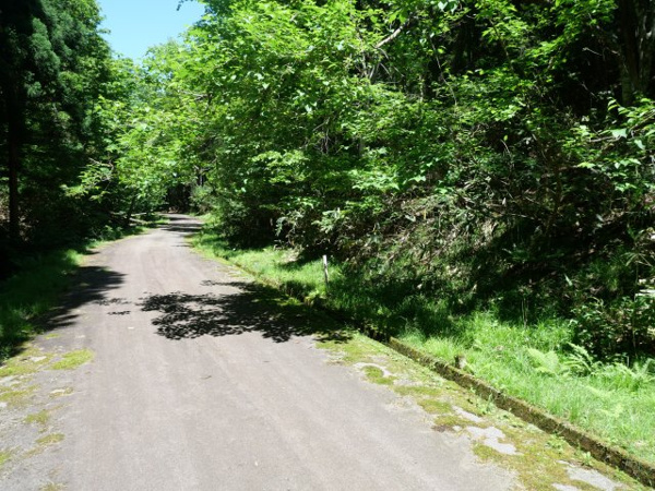 【荘川ビレッジ⑨の前面道路含む現地写真】