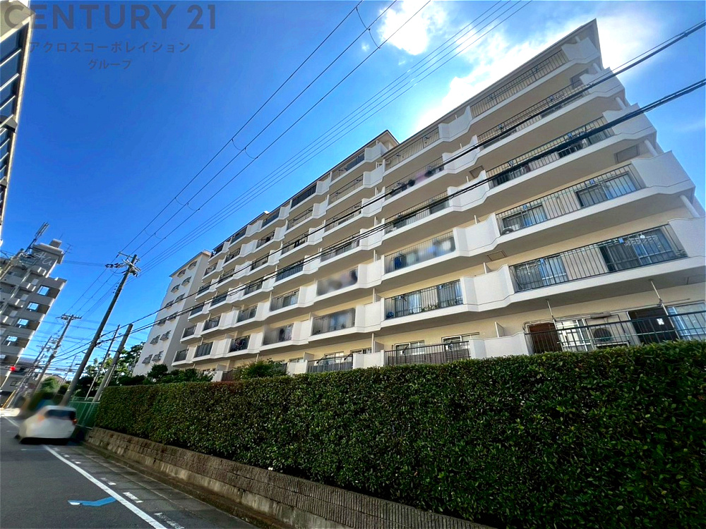 外観：328000481794