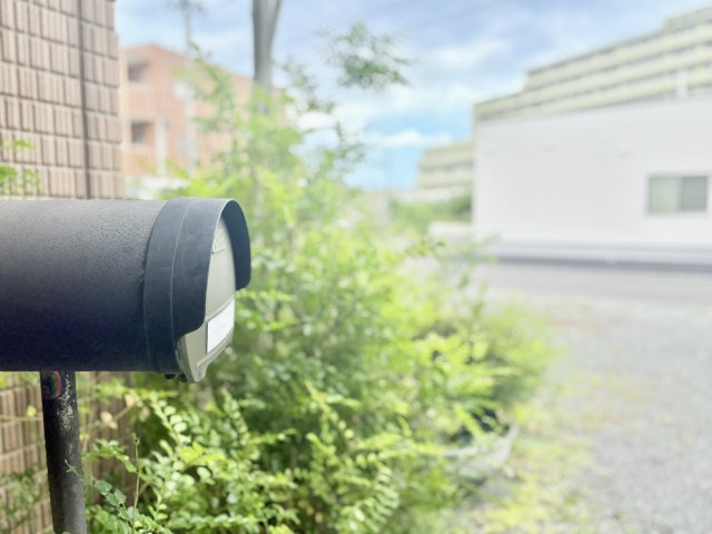 緑に囲まれた敷地は癒されます。