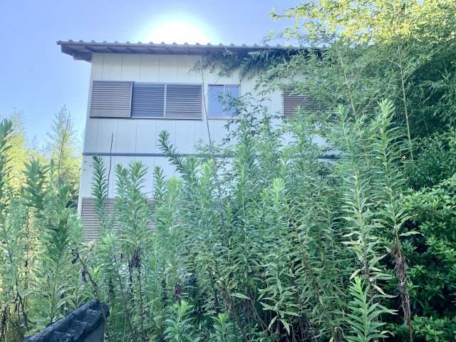 外観：322000457607