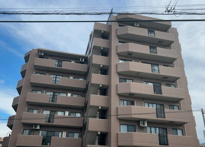 外観：313004814414