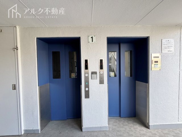 2026年3月12日撮影