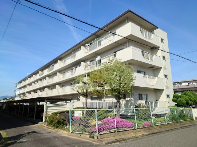 外観：322000579524