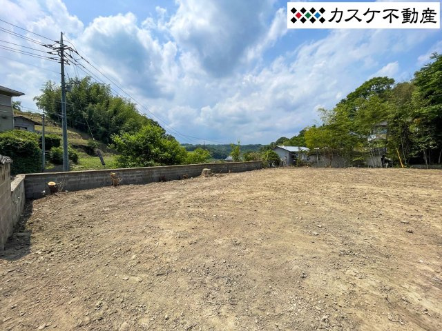 外観：333000053348